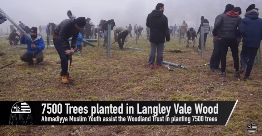 7500 Trees planted in Langley Vale Wood